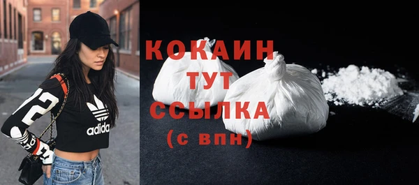 шишки Дмитриев