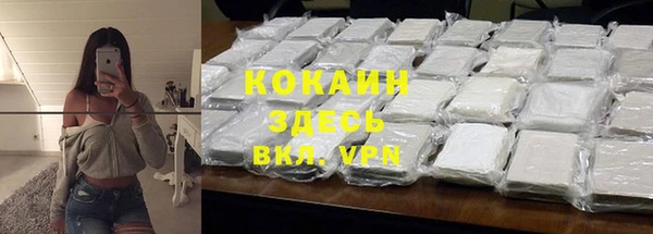 стаф Дмитровск
