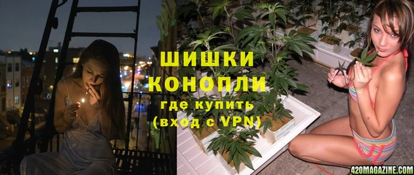 бошки Новозыбков