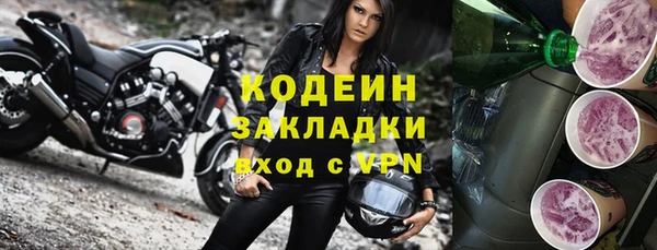стаф Дмитровск