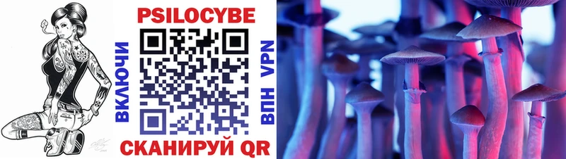 Псилоцибиновые грибы прущие грибы Отрадный