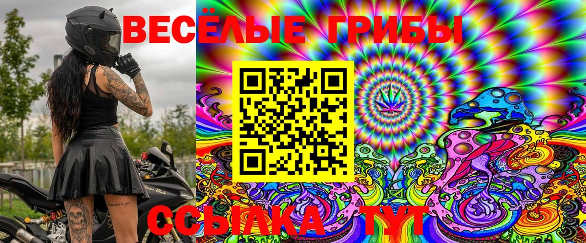 Галлюциногенные грибы Magic Shrooms  Галлюциногенные грибы GOLDEN TEACHER  цены   Вход с VPN  Отрадный 